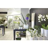 Gavekort á 200,- til Acacia Skjern